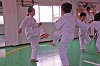siroj (139)_samu.gif
